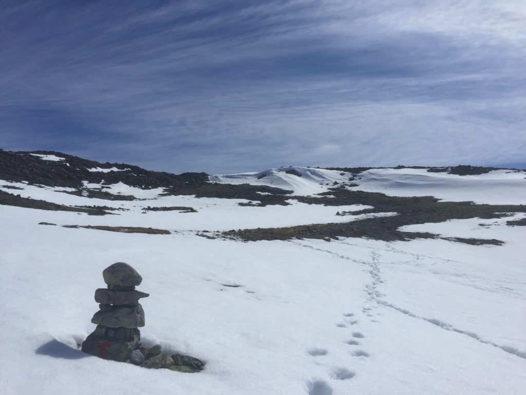 Wandelen in Noorwegen: je kunt sneeuwvelden tegenkomen