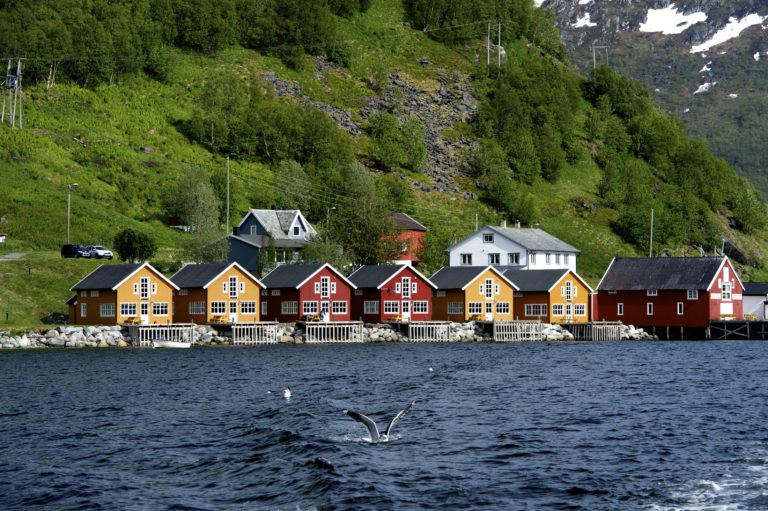 Rode rorbuer in Lofoten